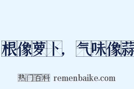 根像萝卜,气味像蒜是什么意思的图片